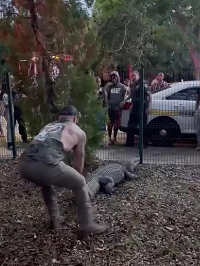 Aksi Petarung MMA Bergulat dengan Buaya