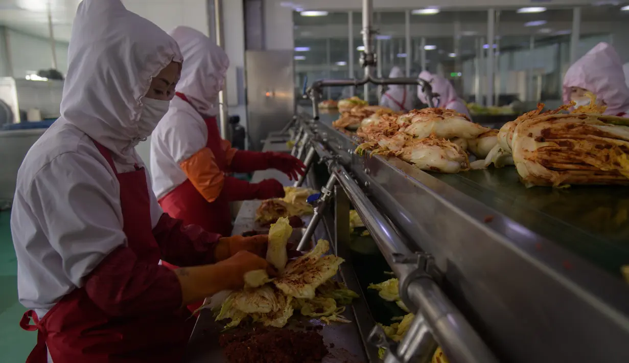 Dalam foto pada 1 Desember 2020, pekerja menyortir kubis di lini produksi pembuatan kimchi di Pabrik Kimchi Ryugyong di Pyongyang, Korea Utara. Setiap tahunnya, pabrik itu menghasilkan sekitar 4.200 ton acar khas Korea yang terbuat dari sayuran kubis yang diawetkan tersebut. (KIM Won Jin/AFP)