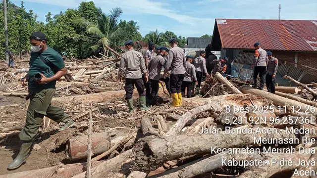 4 Gajah Terlatih PLG Saree Dikerahkan dalam Penyelamatan Korban Banjir Bandang Aceh, Bagaimana Jaminan Kesejahteraannya?