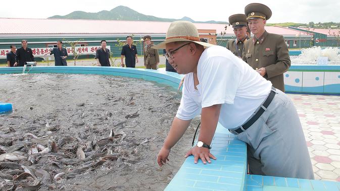 Gaya Pemimpin Korea Utara Kim Jong-un saat meninjau peternakan lele samchon di Provinsi Hwanghae Selatan, Korea Utara, Senin (6/8). Kim tampak santai dengan kaus putih tipis dan topi bundar. (KCNA VIA KNS/AFP)