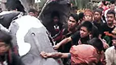 liputan6