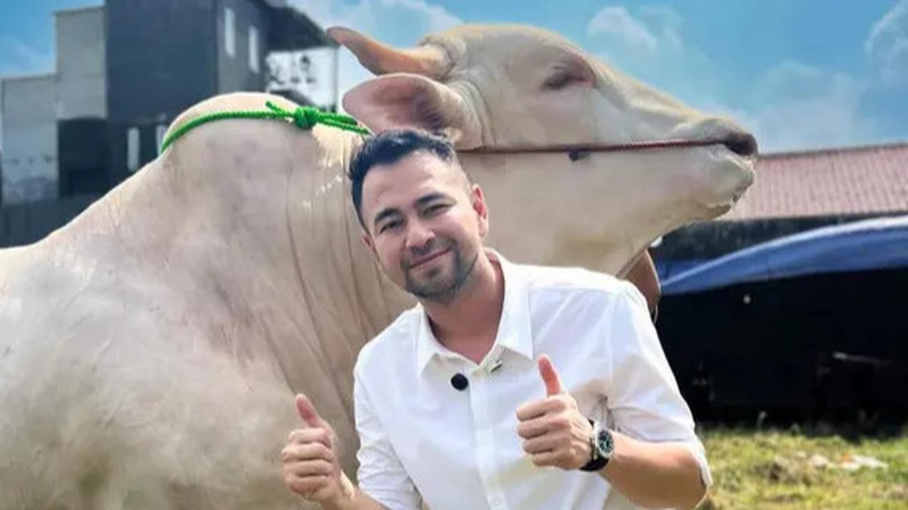 Luar Biasa! Raffi Ahmad Kurban 22 Ekor Sapi dan 90 Domba di Idul Adha 2025, Bentuk Syukur dan Kepedulian