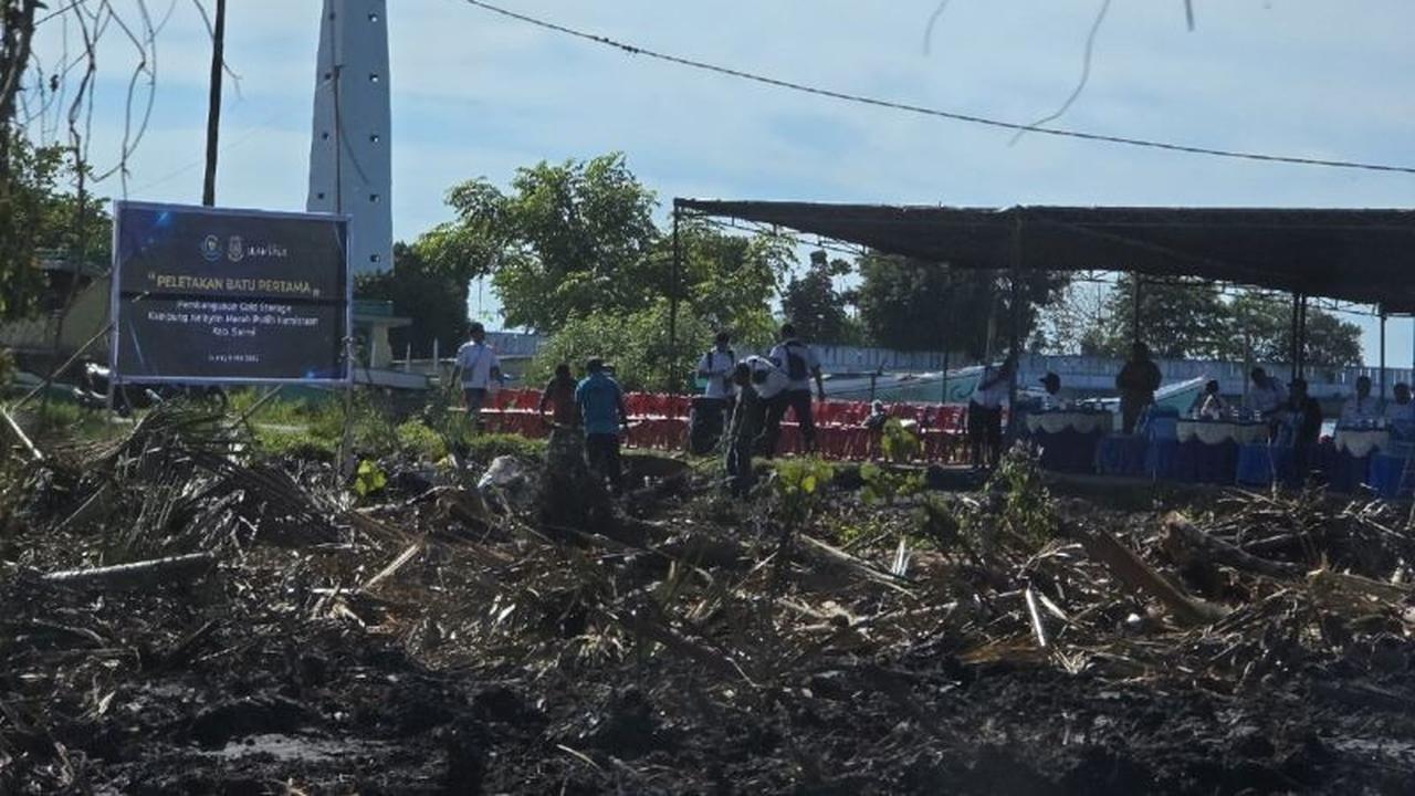 Pemprov Papua Perkuat Rantai Distribusi Perikanan, Dorong Ekspor Berkelanjutan