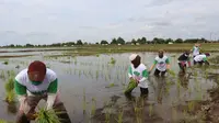 Ekonom senior Emil Salim meminta pemerintah untuk tidak lagi mewujudkan ketahanan pangan dengan menjalankan kebijakan impor. Menurutnya, impor pangan hanya akan menyengsarakan petani.