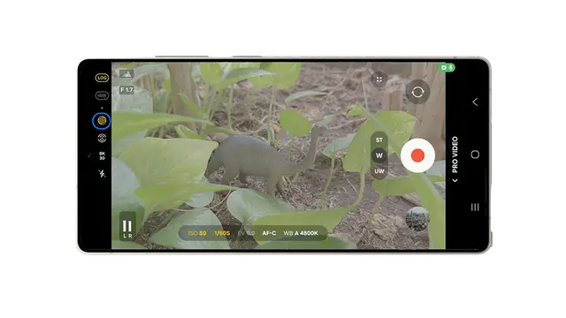 Bikin Konten Makin Sinematik! Yuk, Cobain 3 Tips Jitu Pakai Galaxy LOG di Galaxy S25 Series