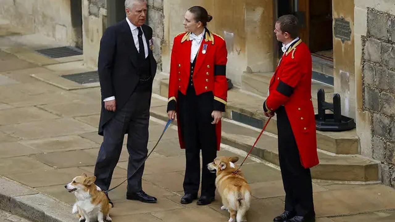 Terlilit Skandal, Pangeran Andrew Tanggalkan Gelar Kebangsawanan Duke of York