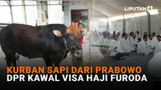 Mulai dari kurban sapi dari Prabowo hingga DPR kawal visa haji furoda di News Flash Liputan6.com.