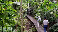 Kawasan Konservasi Taman Nasional Kutai Hadirkan Wisata Alam Saat Libur Lebaran