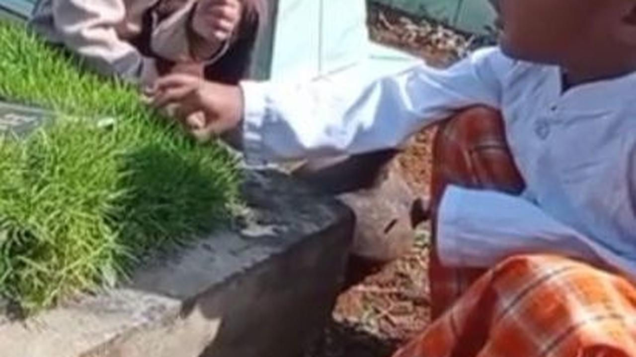 Momen Kakak dan Adik Kunjungi Makam Sang Ibu, Pertanyaan Sang Adik Bikin Sedih