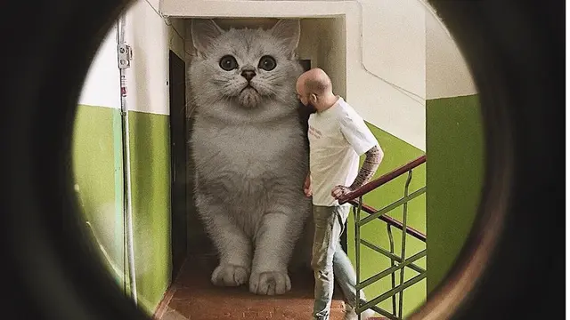 Penampakan Lucu Kucing Diedit Jadi Raksasa Ini Bikin Gagal Takut