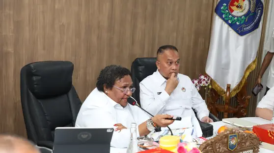 Wamendagri Ingatkan Pemda se-Papua Segera Tuntaskan Penyaluran Dana Otsus Tahap II