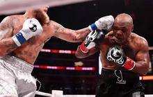 Mike Tyson Digugat Perusahaan Judi Gara-Gara Lawan Jake Paul, Kok Bisa?