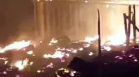 Sebuah kandang ayam di Banyuwangi ludes terbakar kerugian capai Rp300 juta (Istimewa)