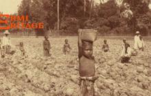 Ada Pabrik Gula Kelas Dunia tapi Warga Sengsara, Ini Potret Miris Warga Probolinggo di Zaman Penjajahan Belanda