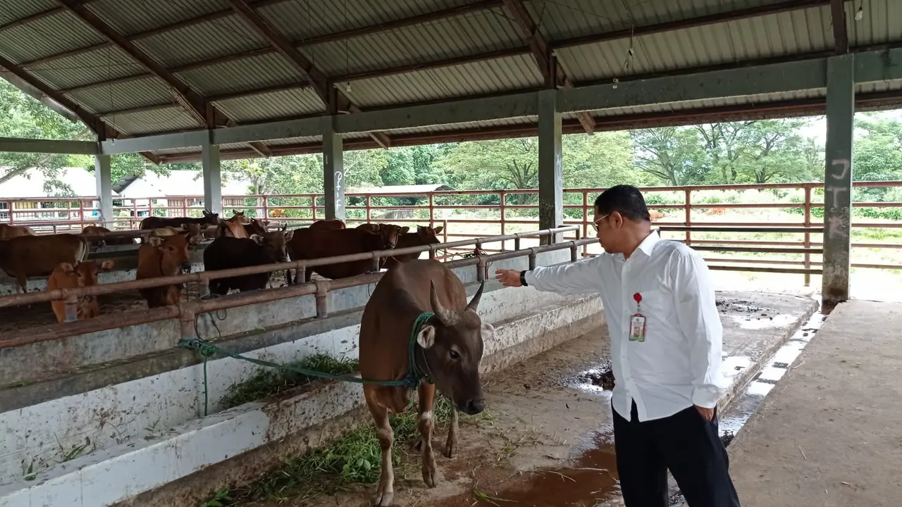 Persiapan RPH Kota Kendari menjelang Idul Adha 1443 Hijriah.(Liputan6.com.Ahmad Akbar Fua)