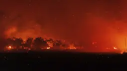 Angin kencang mengipasi api kebakaran hutan di seluruh Yunani, termasuk 53 titik api baru yang muncul pada Senin dini hari di tengah cuaca panas, kering, dan berangin yang menyedot kelembapan dari vegetasi. (AP Photo/Achilleas Chiras)