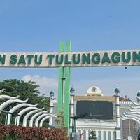 UIN Satu Tulungagung Jatim Kembangkan Bioswale, Perkuat Kampus Ramah Lingkungan dan Kesadaran Ekologis