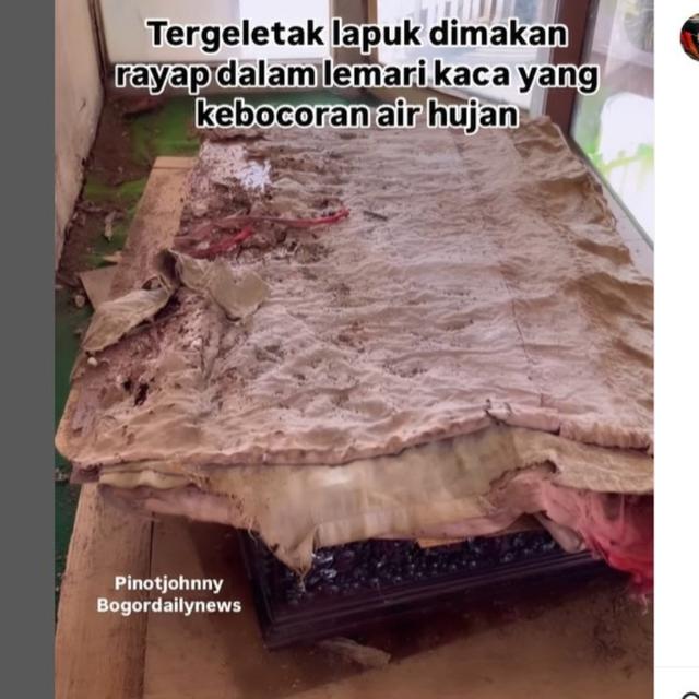 Kondisi Mengenaskan Bendera Merah Putih Pertama di Bogor, Dibiarkan Lapuk Tak Terurus..  foto: (dok.Instagram @pinotjohnny/https://www.instagram.com/p/C8In8-yS-Tt/Henry)