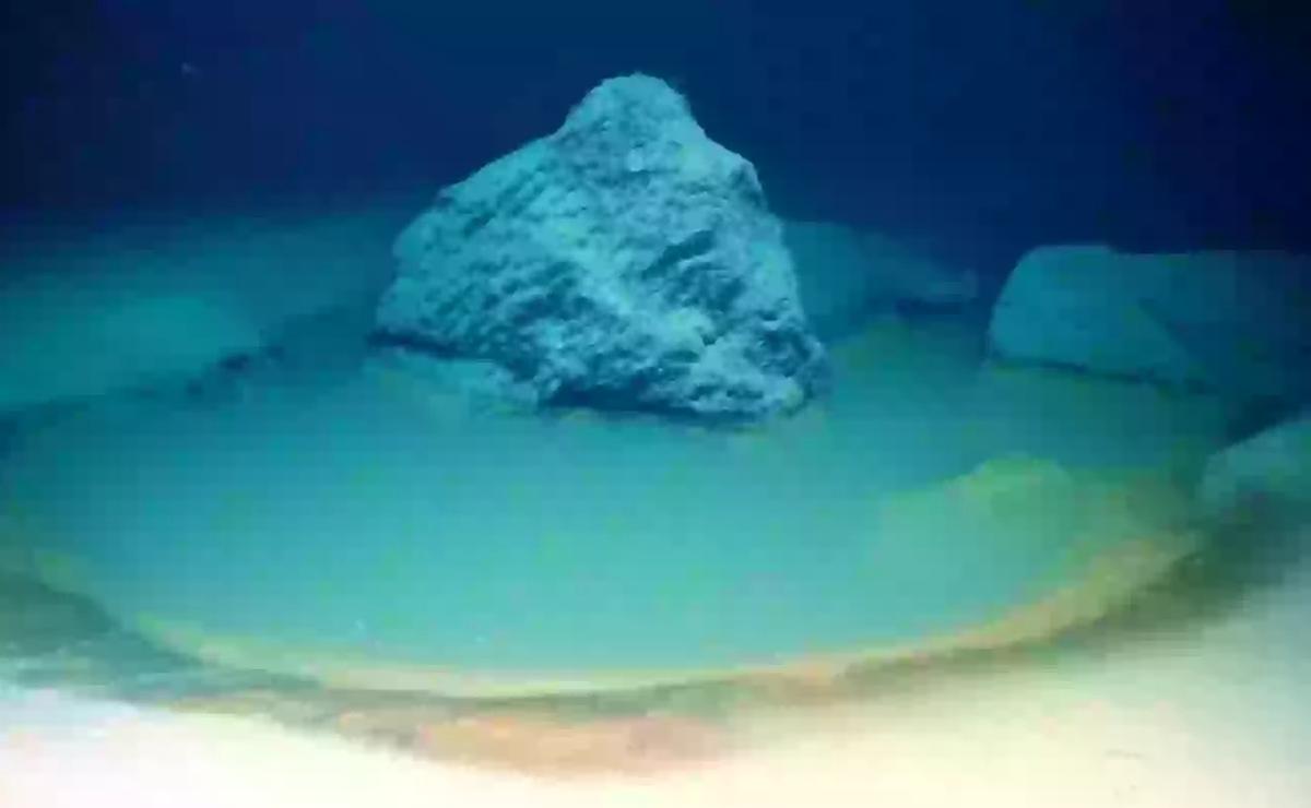 dasar laut merah