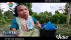 Meski Sakimah (35) memiliki keterbatasan fisik, namun semangat hidup Sakimah terpatri kuat untuk belajar mandiri dan membantu orang tua untuk mengais rezeki. Wanita 35 tahun, warga Desa Lengkong Lor, Kecamatan Ngluyu, Kabupaten Nganjuk ini menjadi bu...