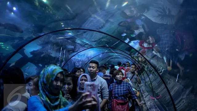 20161225-Libur-Natal-Jakarta-Sea-World-FF