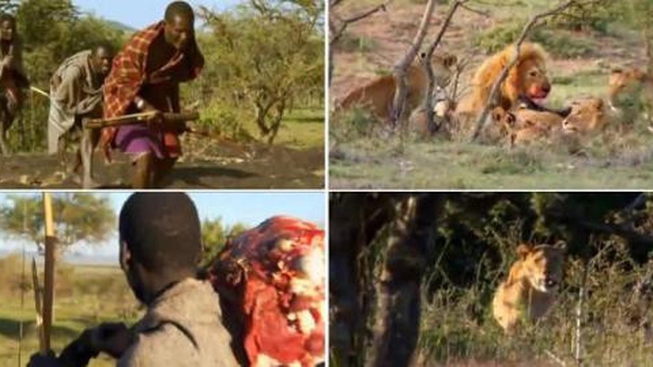 Kelaparan, tiga pria Afrika nekat curi makanan singa
