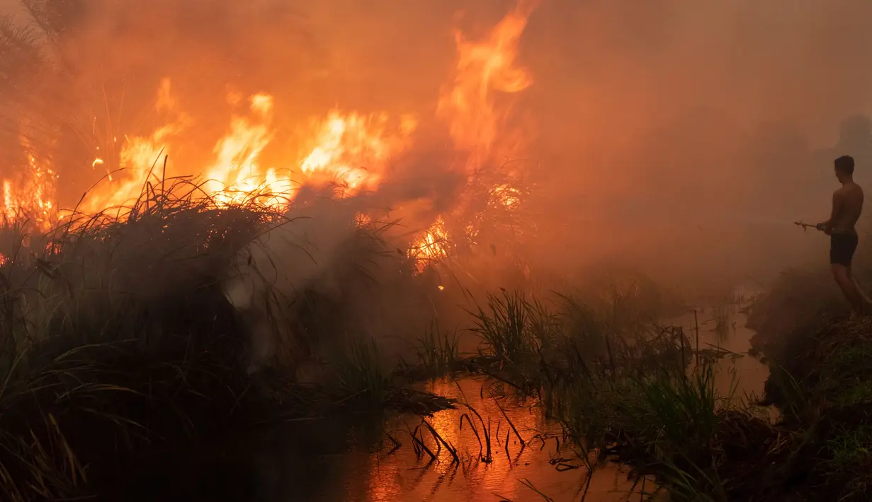 Pemilik perkebunan cabai khawatir kebakaran lahan gambut akan merambat ke lahan miliknya di Ogan Ilir, Sumatra Selatan. Foto diambil pada tanggal 2 Oktober 2023. (Al ZULKIFLI/AFP)