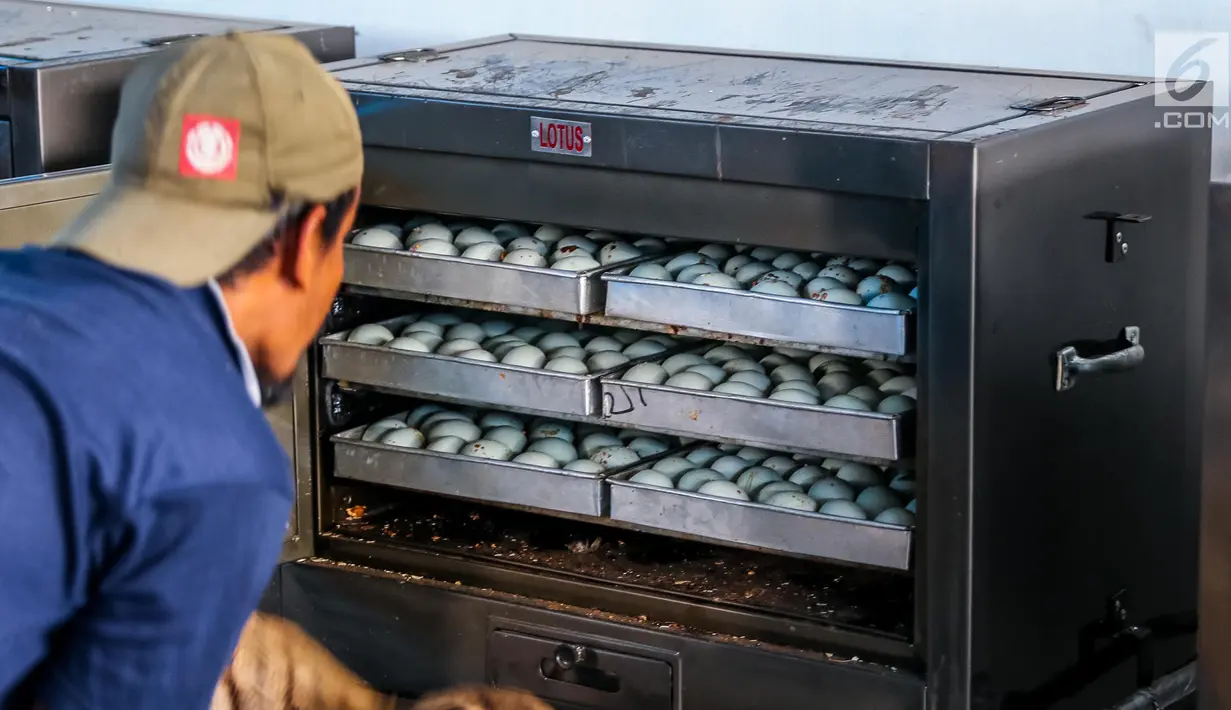 Warga mengolah telur asin dengan proses oven di industri rumahan telur asin Cah Angon, Limbangan, Brebes, Jawa Tengah, Minggu (2/7). Produksi telur asin mengalami peningkatan selama musim mudik lebaran hingga 80 %. (Liputan6.com/Faizal Fanani)