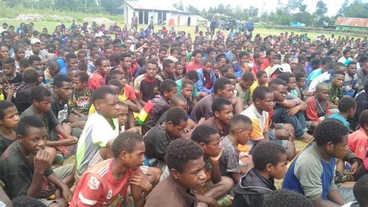 Kontak Senjata di Puncak Papua Tengah Picu Trauma Mendalam dan Gelombang Pengungsian Warga