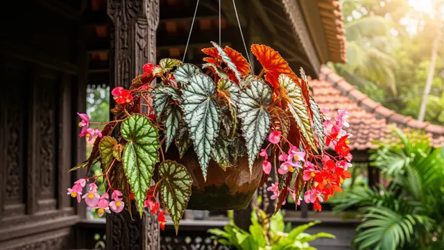 Tanaman Gantung Outdoor yang Tahan Panas dan Hujan