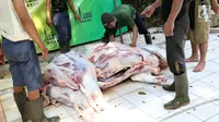 Makna Kurban di Mata Wali Kota Bogor dan Pakar Ekonomi Syariah