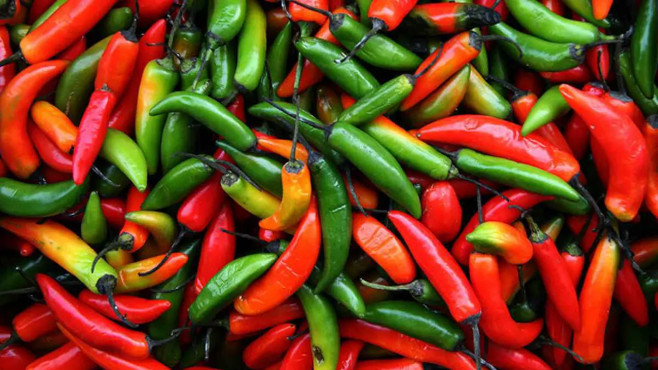 8 Faedah Tersembunyi dari Makanan Pedas yang Jarang Diketahui