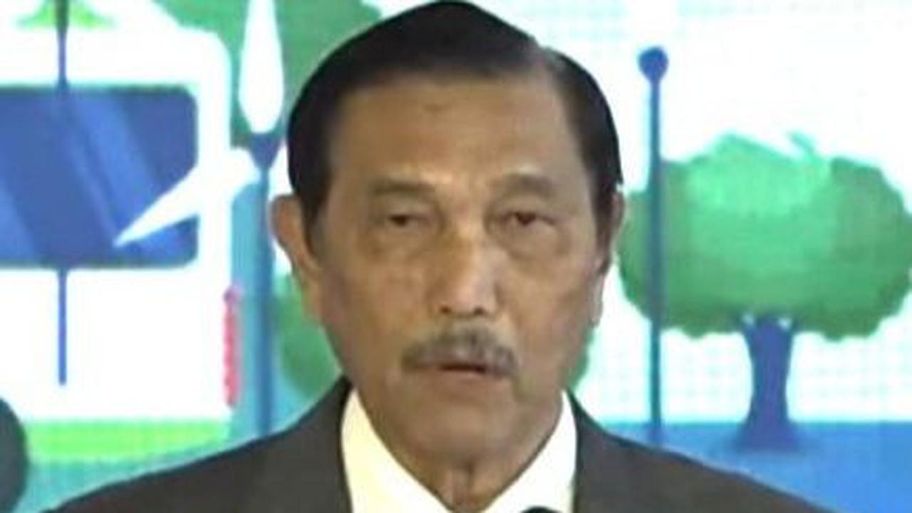 Saat pangkat di pundaknya sudah bintang, Luhut hanya menjabat Wakil Komandan Pusat Persenjataan Infanteri, Komandan Pusat Kesenjataan Infanteri (Pussenif) TNI-AD (1996-1997) lalu Komandan Pendidikan dan Latihan TNI Angkatan Darat (Kodiklat TNI AD) (1997-1