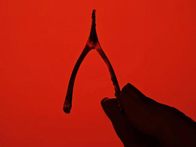 3 Cara Rangsang Klitoris Agar Wanita Tetap Terlumasi Health Liputan6 Com