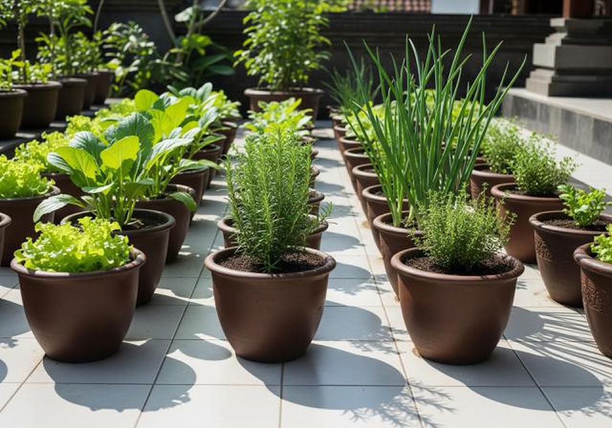 Perbedaan Pot Tanah Liat vs Pot Plastik untuk Tanaman Sayur di Rumah