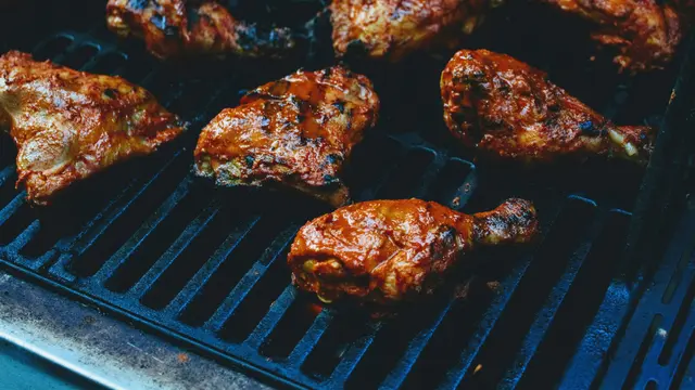 Ilustrasi Ayam Bakar/Photo by S. Laiba Ali on Unsplash