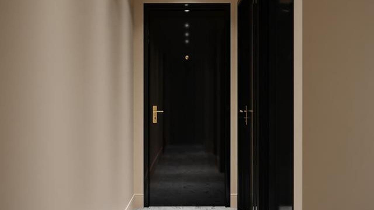 8 Model Pintu Rumah dari Triplek yang Awet dan Murah, Solusi Murah tapi Tetap Elegan