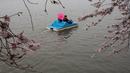 Warga naik perahu menikmati keindahan bunga sakura yang bersemi di Washington DC, AS (26/3). Bunga Sakura merupakan satu keunggulan negara Jepang. (AFP Photo / Zach Gibson)