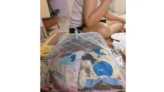 6 Kelakuan Orang Manjain Kucing Ini Bikin Ngakak