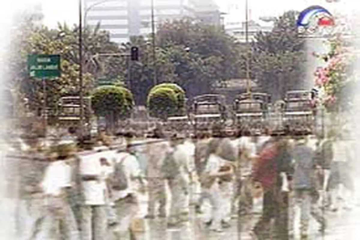 200502cMei98.jpg