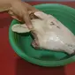 Tanpa Dibakar, Begini Cara Bersihkan Kepala Kambing Sebelum Dimasak (YouTube/AyahSuka Masak)