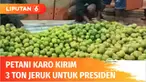 Ratusan petani dari tiga kecamatan di Kabupaten Karo, Sumatera Utara, mengirimkan 3 ton buah jeruk pada Presiden Jokowi. Pengiriman oleh-oleh jeruk ini diharapkan membuat Presiden memperhatikan desa mereka, terutama infrastruktur jalan yang selama 25...