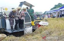 Fakta Unik! Banjarmasin Gelar Rembuk Tani, Pertahankan Ketahanan Pangan dengan Lahan di Bawah Permukaan Laut