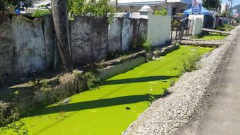 Warga Kota Gorontalo Keluhkan Air Got Berubah Jadi Hijau dan Keluarkan Bau Busuk