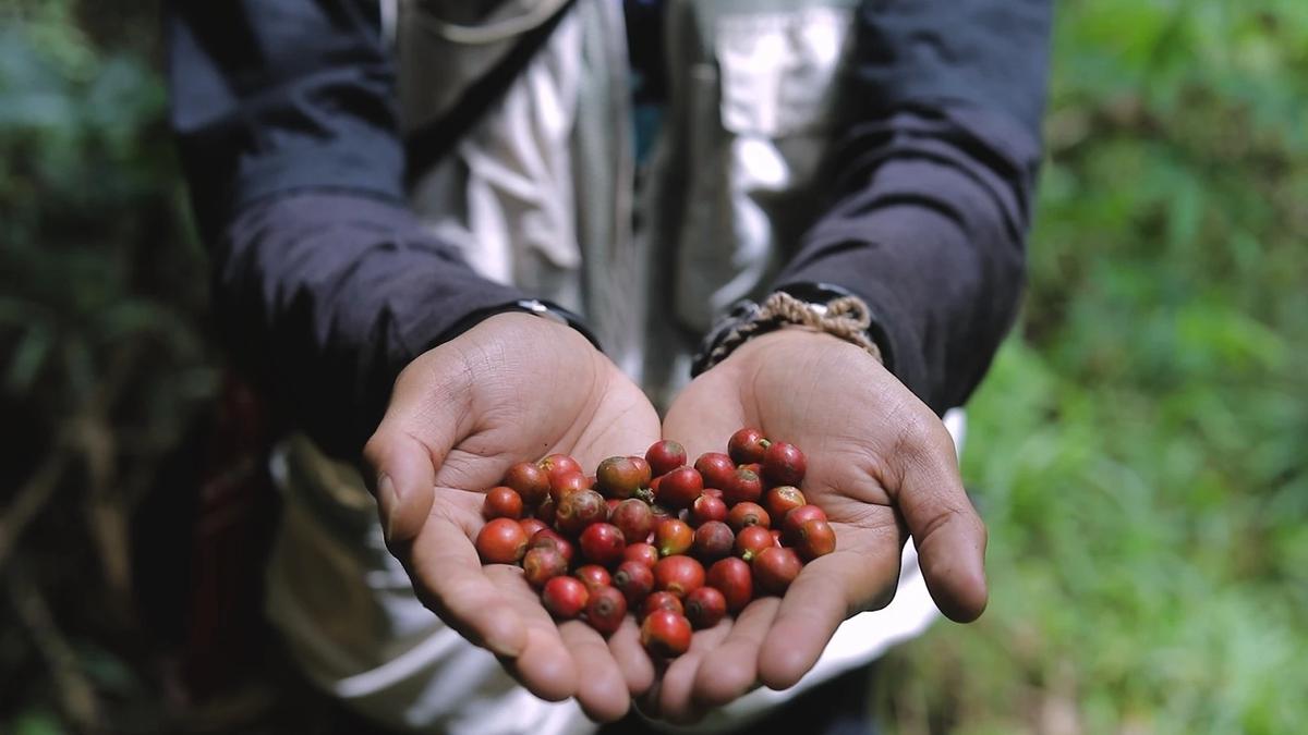 Desa Pajambon, Kabupaten Kuningan, Jawa Barat