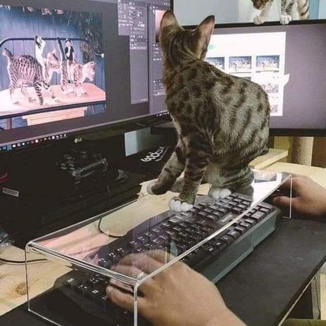 Belum Populer, 6 Barang Sederhana Ini Punya Kegunaan yang Tak Terduga