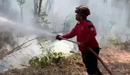 5 Hektare Lahan Gunung Budeg Hangus Terbakar