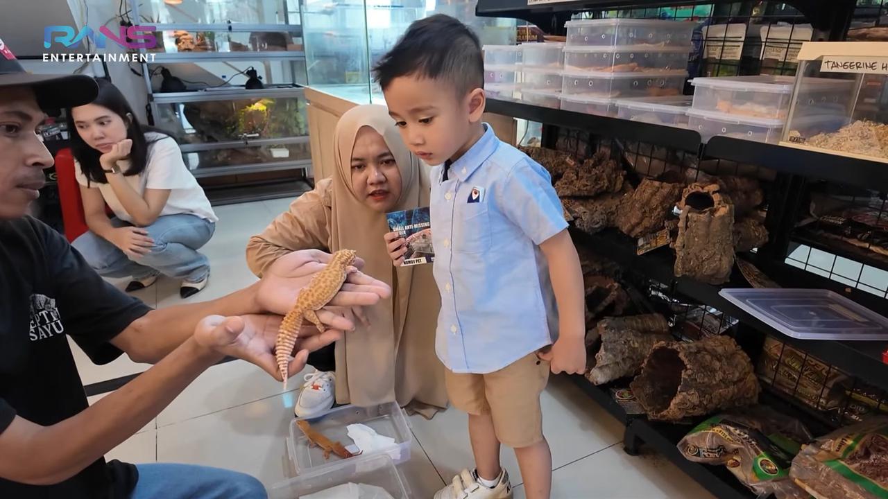 Semula Mau Bunglon, Potret Rayyanza Akhirnya Pilih Iguana Jadi Peliharaan Baru - Langsung Kasih Nama Dinoco The King