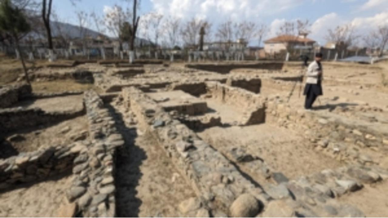 Arkeolog Temukan Koleksi Artefak Berusia 2.000 di Situs Buddha, Ada Koin Sampai Jimat Berbentuk Kaki