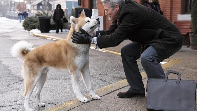 Hachi: A Dog's Tale (2009)